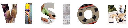 Picture of the word Vision with B-VI techniques and uses being demostrated as pictures within each letter.