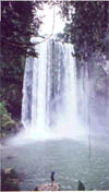 Misol-Ha Waterfall