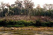 Yaxchilan