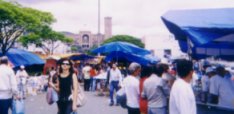 Com�rcio em Aparecida