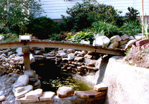 /user/Pond301.jpg