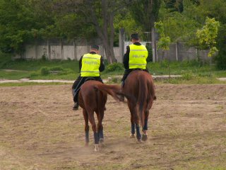 Mounted police