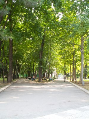 Park behind the cathedral
