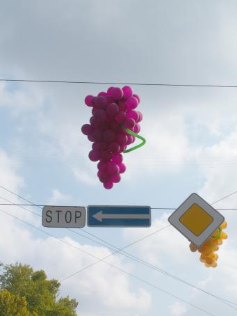 Wine Holiday in Chisinau