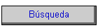 B�squeda