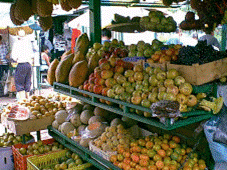 Frutas del Dia