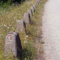 hinkelsteins