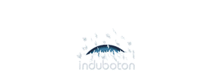 Indubotón S.A. (Producción de botones de polyester)