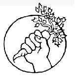 food not bombs