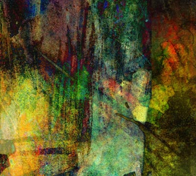 woods. digital print. limited edition