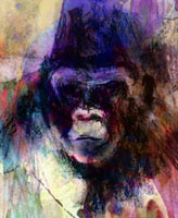 gorilla, twycross, limited edition