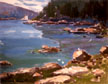 wValleyCv