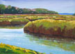 Cape Marsh