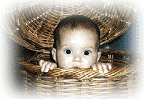 coucou!