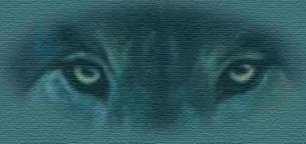 wolf-set24.jpg (18761 bytes)