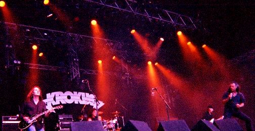 krokus