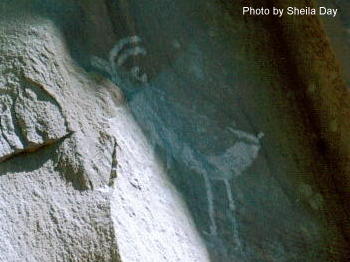 Rock Art at Betatakin