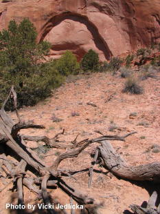 Unexavated Ruins
