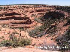 McCloyd Canyon