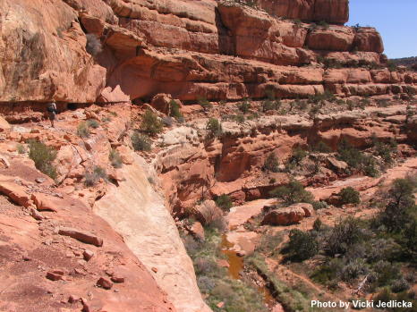 Road Canyon