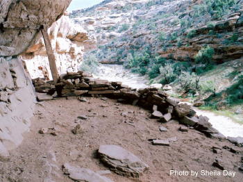 Kiva