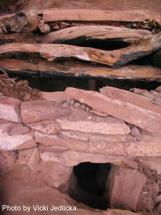 Kiva