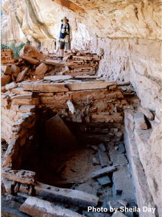 Vicki Jedlicka Road Canyon