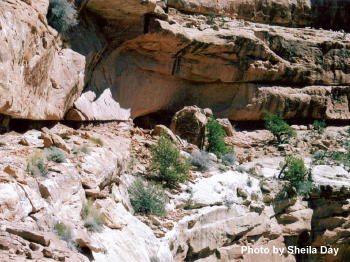 Road Canyon