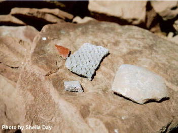 pottery shards