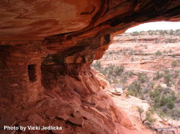 Road Canyon Ceiling House