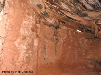 Road Canyon Kiva