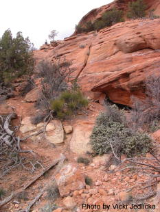 Road Canyon