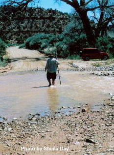 Crossing wash