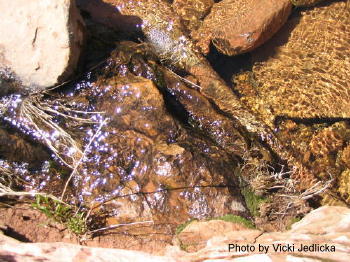 Flowing creek