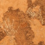 60 hands panel