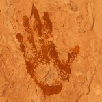 60 hands panel