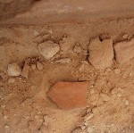 Pottery shard