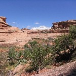 View of Grand Gulch partially way down from Government Trail overlook