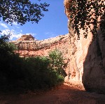 Grand Gulch by Polly's Island