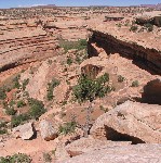 View of Grand Gulch from Government Trail overlook