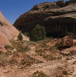 near Monarch Cave