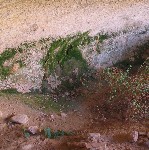 Monarch Cave