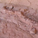 Monarch Cave