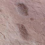 Monarch Cave