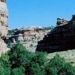 View from Polly's Island ruin