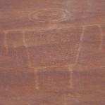 River Petroglyph Panel - detail
