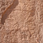 River Petroglyph Panel - detail