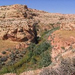 Overlooking Butler Wash