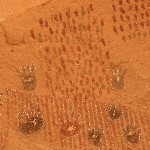 Black Dragon pictographs