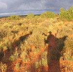 Our shadows in sunset after storms